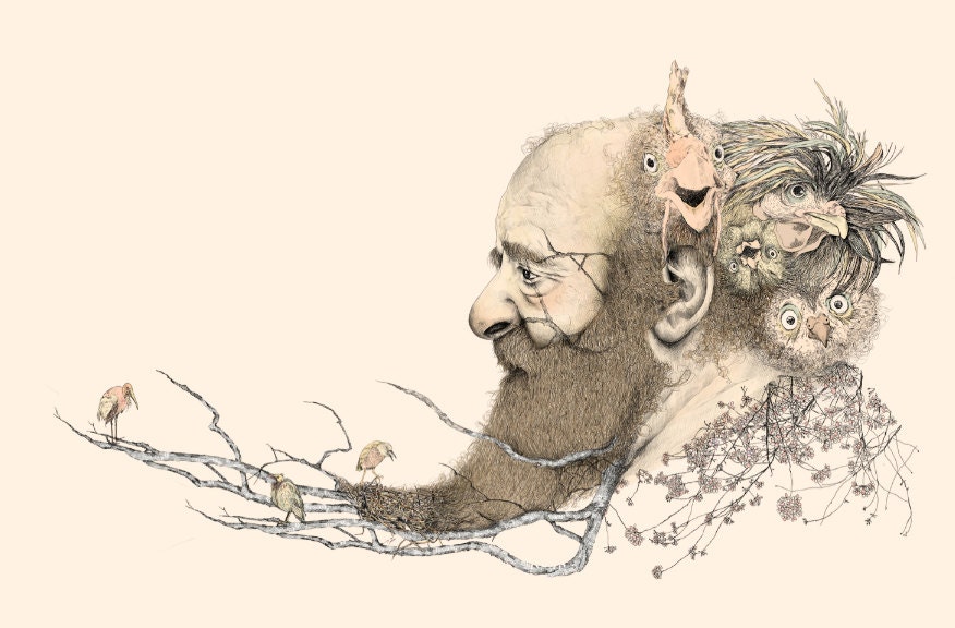Birds in the beard