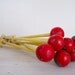 reserved for janet - vintage yellow and red lawn bowls lane dividers