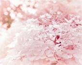 Pastel Pink Valentines Hydrangeas Botanical Nature Shabby Chic Nursery Home Decor Fine Art Photography - ShadetreePhotography Pastel Pink Valentines Hydrangeas Botanical Nature Shabby Chic Nursery Home Decor Fine Art Photography - ShadetreePhotography