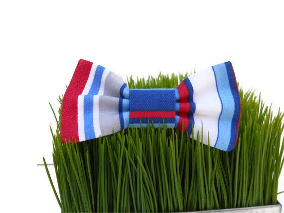 The "Ivy League"  preppy dog Bow Tie...
