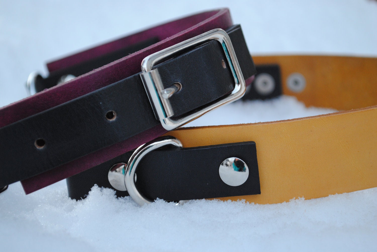 SALE Adjustable Leather Martingale Dog Collar - OOAK