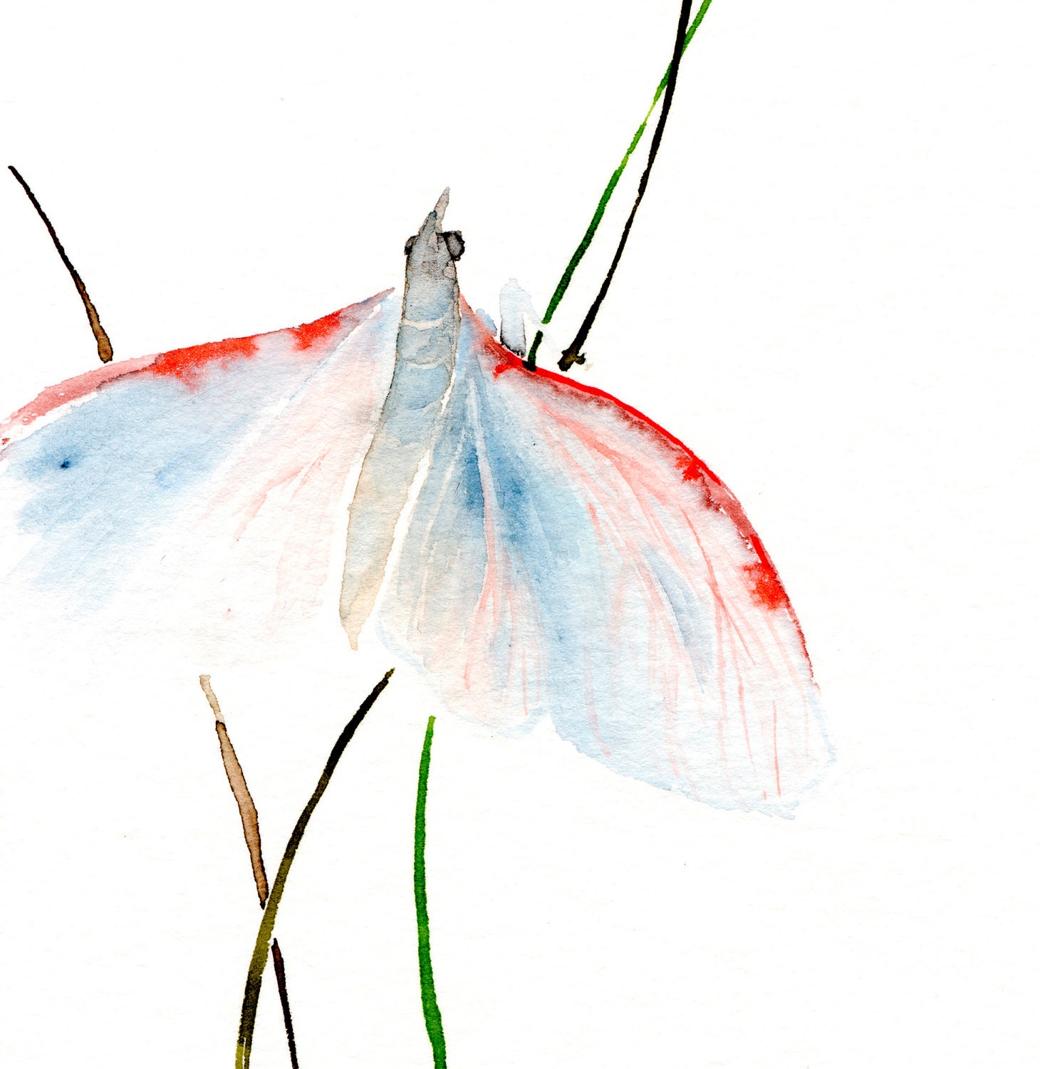 Watercolor Original Art - Light Blue Moth