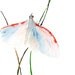 Watercolor Original - Light Blue Moth
