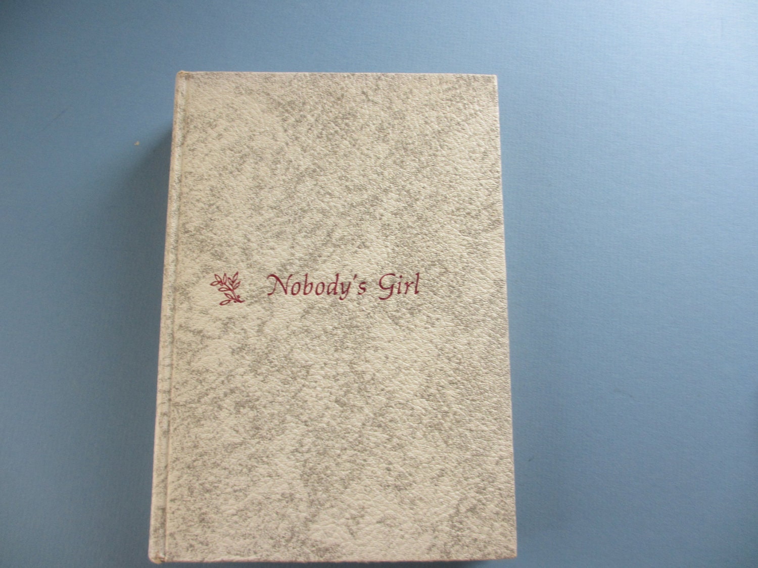 Nobodys Girl Hollow Book