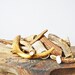 Lot of Deer Antler Pieces - 10 Deer Antler Pieces