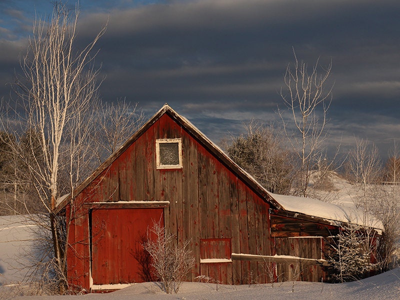 Weathered Barn - 11" x 14" Framed, Matted & Signed Print - red barn, winter, maine, photo, photography, fine art, snow, country, old, farm