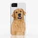 Golden Retriever - Phone/Tablet Case