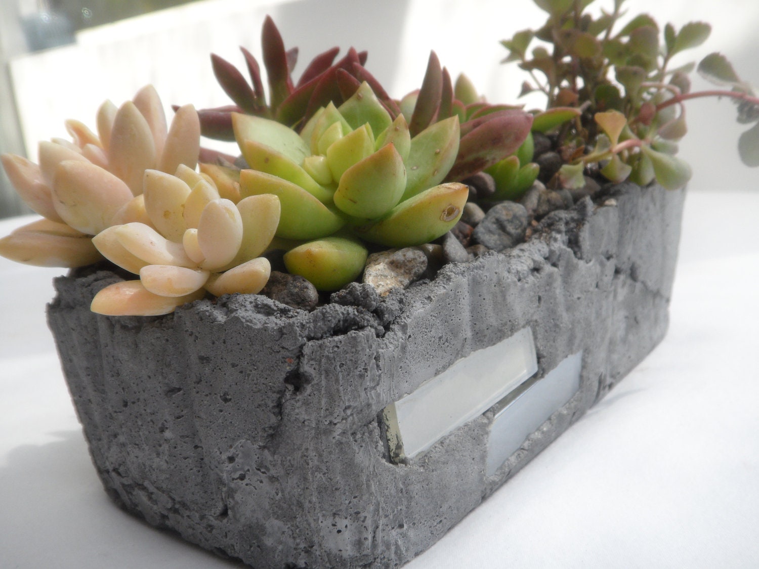 Small hand created rustic planter with succulent arrangement - RotdCreations