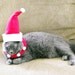 Small Pet Santa Costume - Pet Santa Suit - Cat Santa Costume - Small Dog Santa Suit