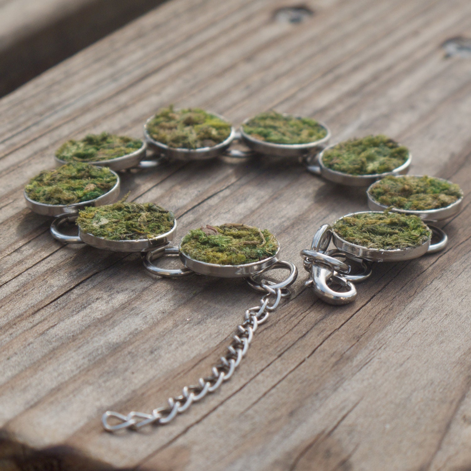 Moss Bracelet, Eco Friendly, Terrarium Bracelet, Living Plant Jewelry, Earth Day, Garden, Terrarium
