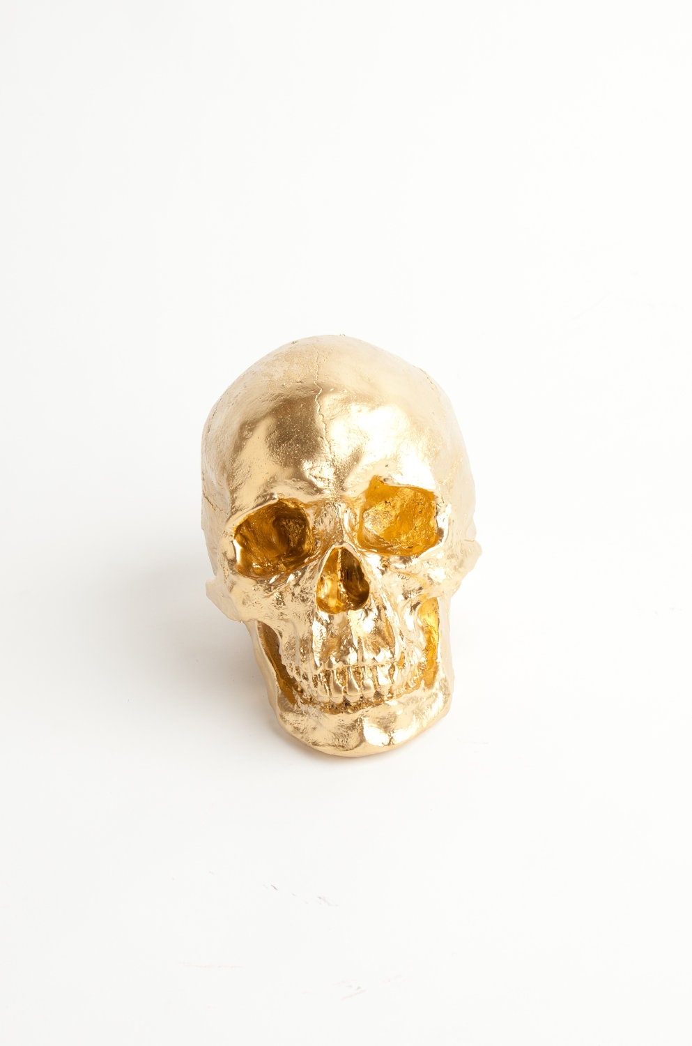 Human Head Skeleton