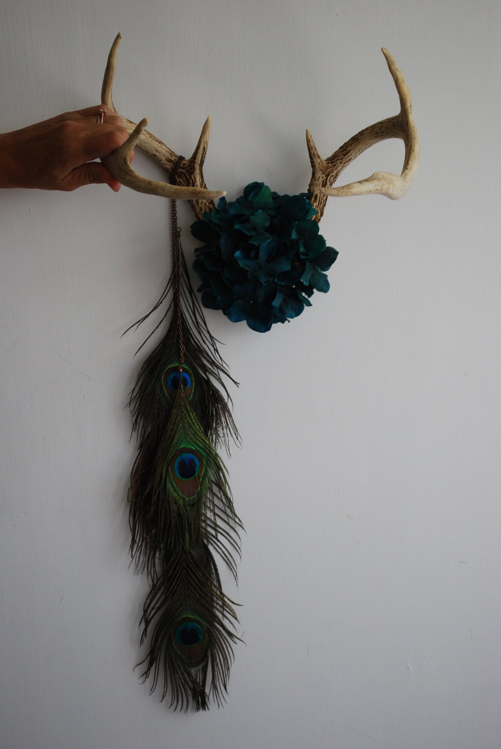 Deer Antlers with Flowers & Peacock Feathers - Wall Hanging Taxidermy 7 Point Rack Home Decor Teal Hydrangea Jewelry Necklace Holder
