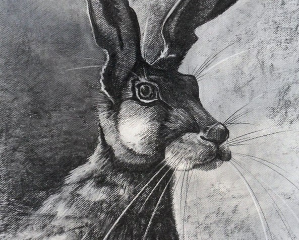 Hare card, note card and envelope