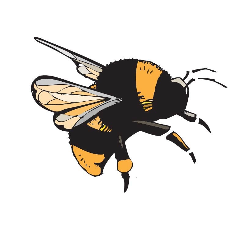 Custom logo design - avatar, profile image, branding, graphic design