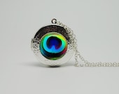 Silver Glass Locket Necklace with Inspired Peacock Feather