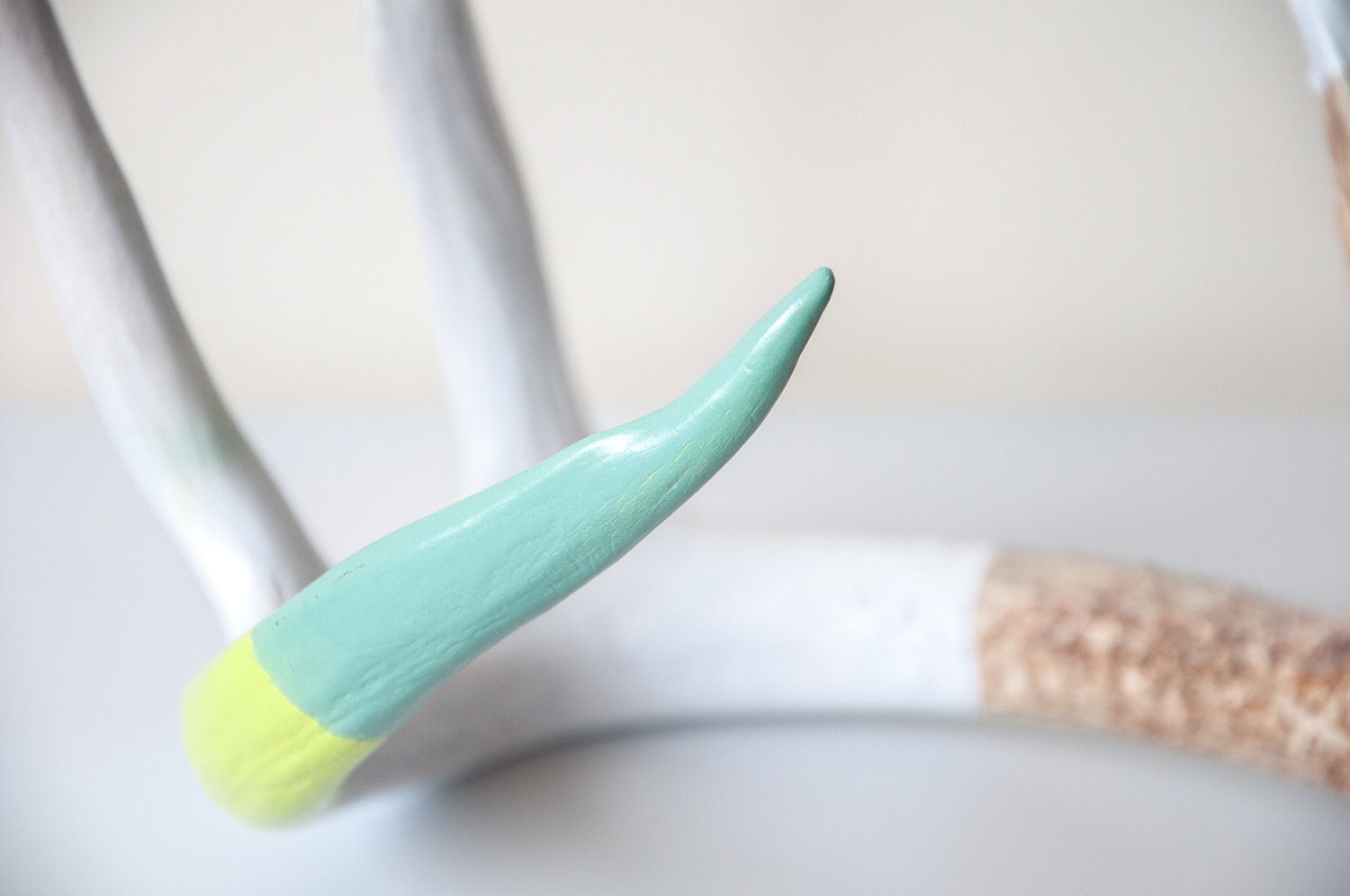 Painted Naturally Shed Deer Antler