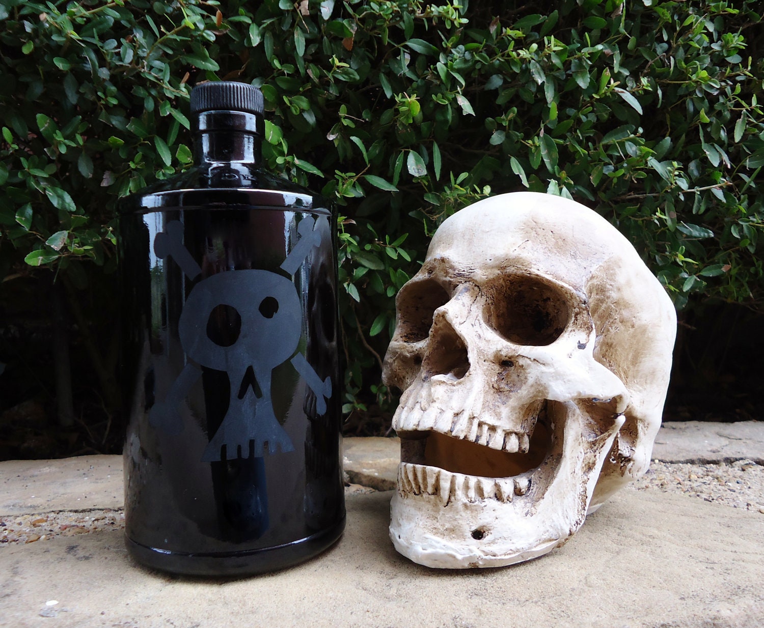 Skull and Crossbones Poison Bottle on Black Recycled Hendricks Gin Bottle