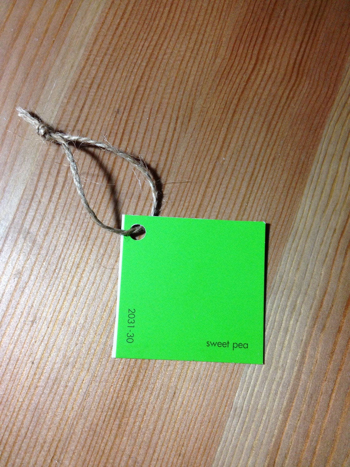 Paint Chip Gift Tags