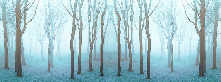 Tree Photography Landscape Photography Enchanted Woodland Dreamy Nature Pale Blue Wood - MOONGARDENART