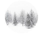 Winter snow photography Woodland forest Minimalism Christmas Black and White