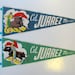 Pennant Banner / Mexico