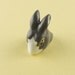 June Grey Ring