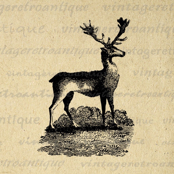 vintage deer clip art - photo #17