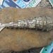 Articulated Fish Bottle Opener