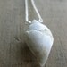 white fossil druzy SHELL necklace