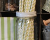 Green Paper Straws Set of 20 - Thin Stripe Il_170x135