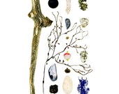 Beachcombing series No. 63 - 11 x 14 fine art photo - driftwood, beach stone, seashell, seaweed, rockweed