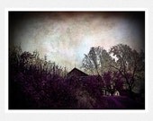 Nature Photography, dark purple, barn woodlands, clouds,  Black Clouds fine art photography print 8x10
