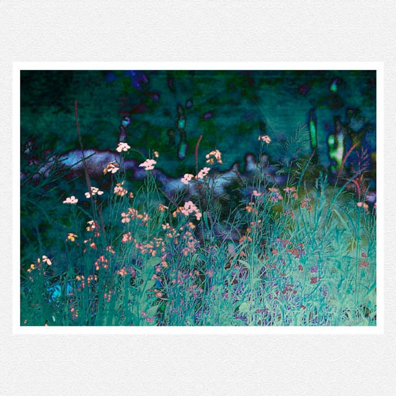 Nature Photography, teal, blue, flowers, spring, enchantment, Land Of the Fae, nature fine art photography print 8x12