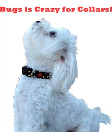 Dog Collar Tutorial, PLUS Video and BONUS--Make it Yourself, Instructional EBook, Instant Download