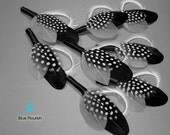 8 boutonnieres black boutineers white grey gray sophisticated modern style wedding frosty grayscale winter wedding