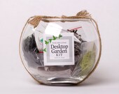 Desktop Micro-Environment