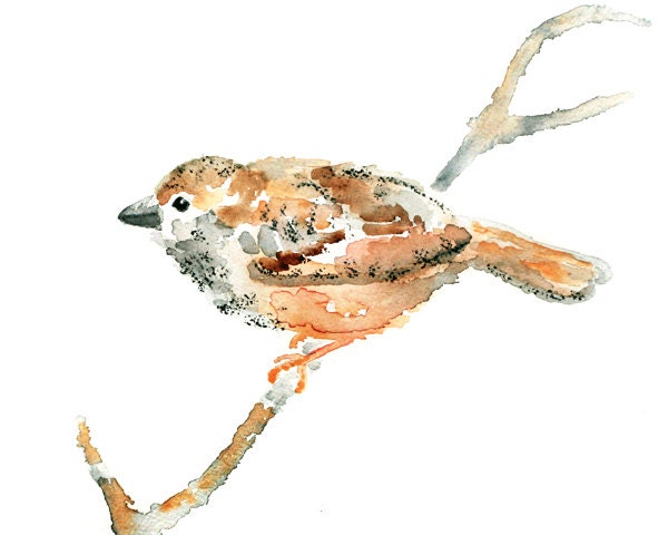 Bird Watercolor Painting, bird art, peach nursery decor, nursery art print, sparrow painting -  Peach Puff, Sweet Puff  8 x 10 Print