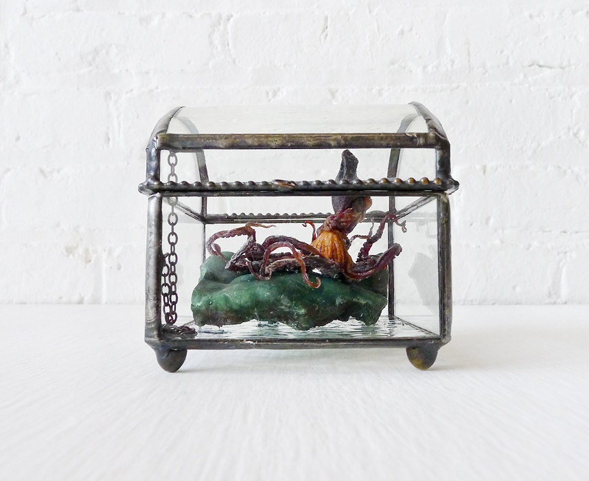 Little Miss Seawitch - REAL Octopus on India Crystal in Beveled Glass Jewelry Box