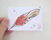 ACEO Frog Spawn - Tadpole - Archival Print Watercolor Art