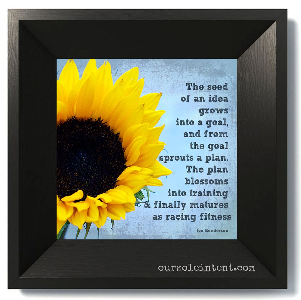 Seed of an idea - yellow sunflower blue sky run runner marathon race fitness love to run
