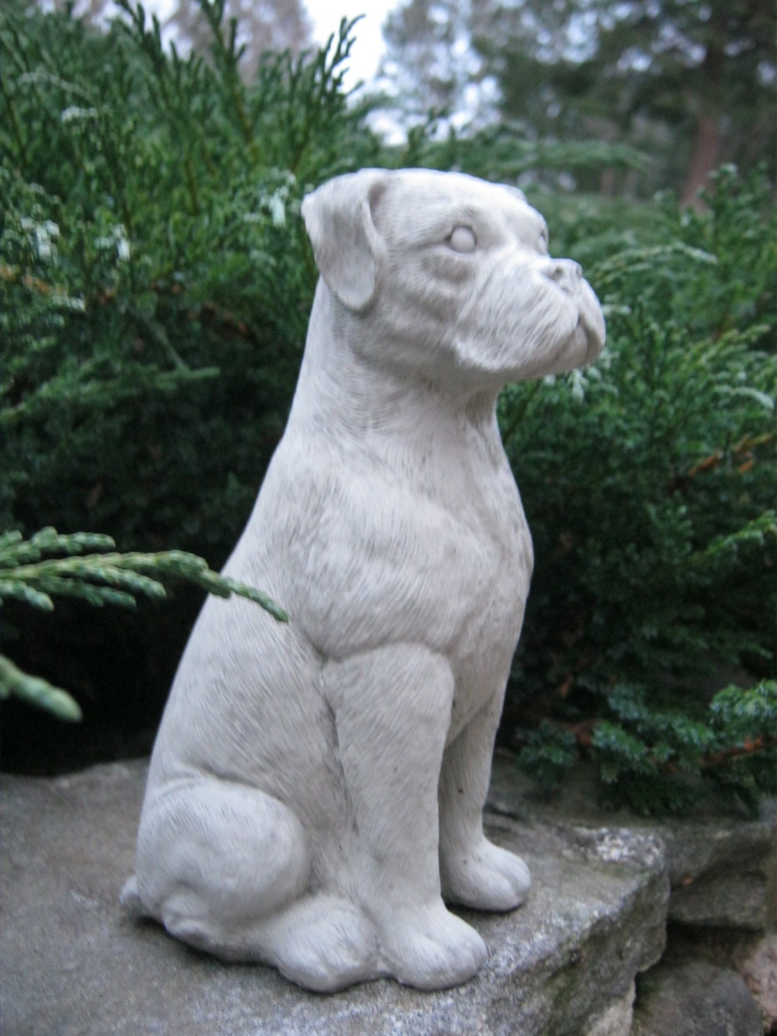 Boxer Dog Concrete Statue by WestWindHomeGarden on Etsy