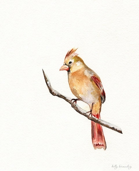 Cardinal Cutie / 8.5x11/ Watercolor Print