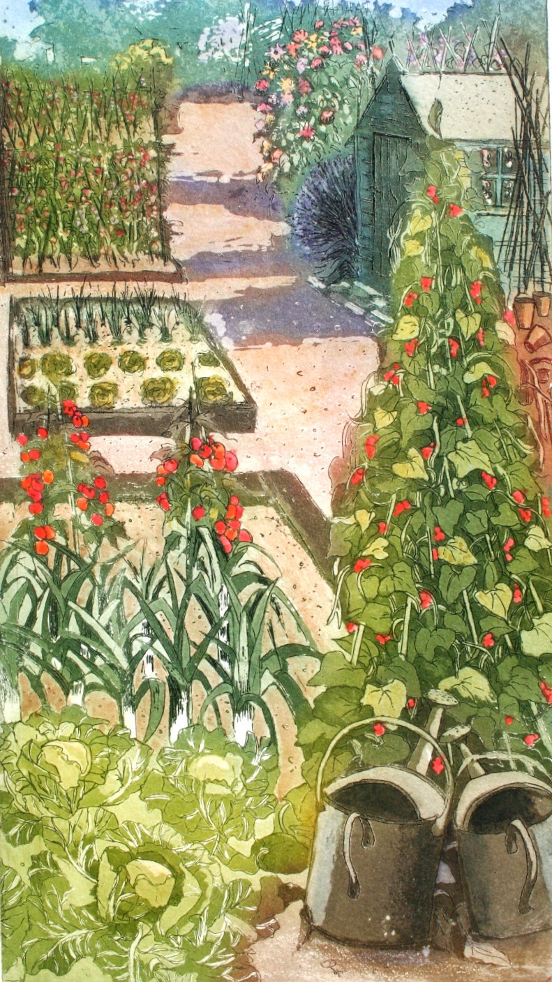 Allotment , the perfect plot, Etching and aquatint  with watercolour - SallyWinterEtchings