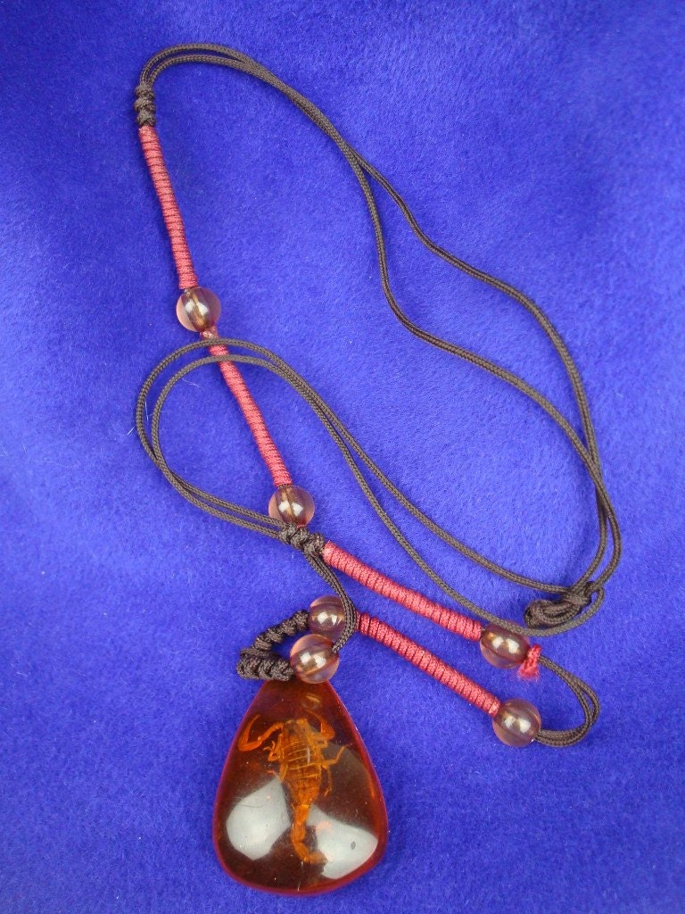 Scorpion trapped in Amber