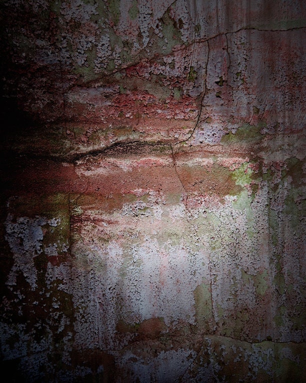 Cracked Wall, 8 X 10 photograph, Rustic, shabby chic, fine art photographic print - AsteriskPhotoart