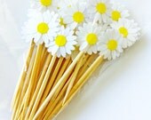 12 Wedding White DAISIES Party Picks / Cupcake Toppers /  Cocktail Sticks - naissance