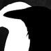 Hawk and Crow