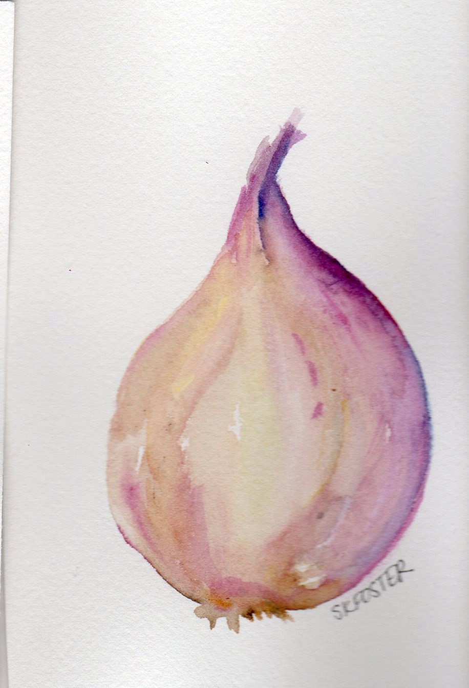Purple Garlic watercolor painting original, Big Purple Bulb , vegetable series, 4 x 6, garlic art