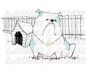 Bull Dog 7x5 fine art print