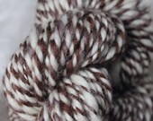 Handspun bulky "Sky Bison"